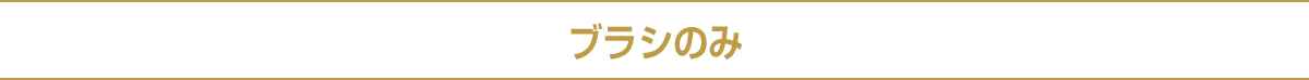 ブラシのみ