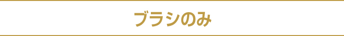 ブラシのみ
