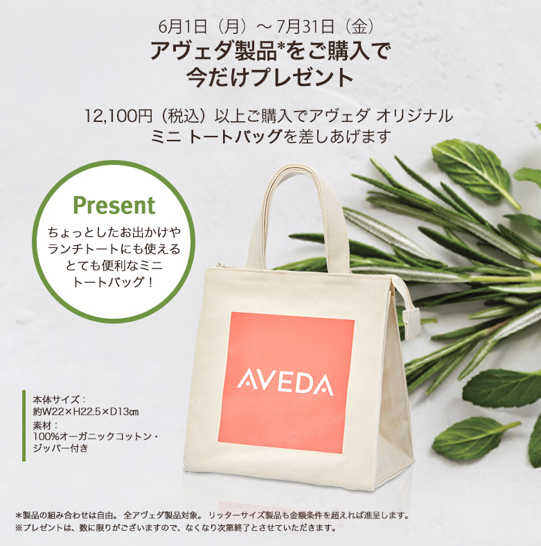 アヴェダ製品*をご購入で今だけプレゼント
期間：6月1日（月）～7月31日（金）
税込12,100円以上ご購入でアヴェダ オリジナル 
ミニ トートバッグを差しあげます
Present
ちょっとしたお出かけや
ランチトートにも使える
とても便利なミニ
トートバッグ！
本体サイズ：約W22×H22.5×D13㎝
素材：100%オーガニックコットン・ジッパー付き
＊製品の組み合わせは自由。 全アヴェダ製品対象。 リッターサイズ製品も金額条件を超えれば進呈します。 ※プレゼントは、数に限りがございますので、なくなり次第終了とさせていただきます。 