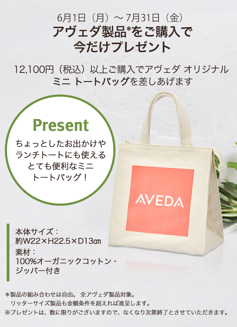 アヴェダ製品*をご購入で今だけプレゼント
期間：6月1日（月）～7月31日（金）
税込12,100円以上ご購入でアヴェダ オリジナル 
ミニ トートバッグを差しあげます
Present
ちょっとしたお出かけや
ランチトートにも使える
とても便利なミニ
トートバッグ！
本体サイズ：約W22×H22.5×D13㎝
素材：100%オーガニックコットン・ジッパー付き
＊製品の組み合わせは自由。 全アヴェダ製品対象。 リッターサイズ製品も金額条件を超えれば進呈します。 ※プレゼントは、数に限りがございますので、なくなり次第終了とさせていただきます。 