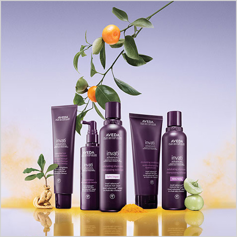 アヴェダ ライフスタイル サロン スパ 南青山 Aveda ショップ サイト アヴェダ ライフスタイル サロン スパ 南青山 Aveda ショップ サイト