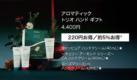 AVEDA アヴェダホリデーギフト2024 NEWS | AVEDA ショップ サイト